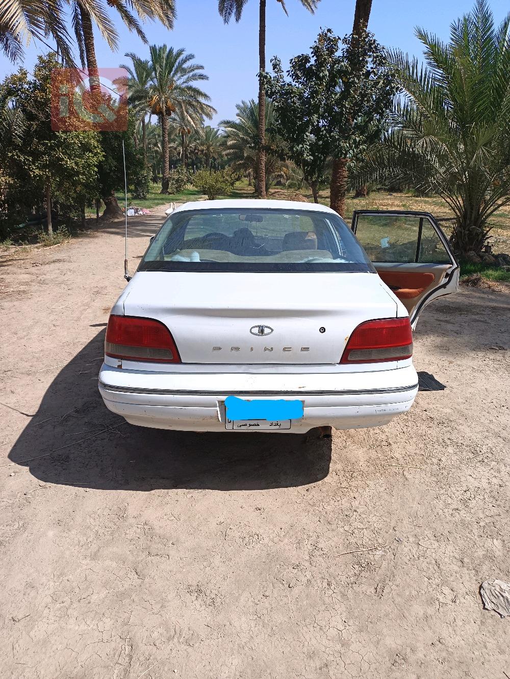 دايو برنس